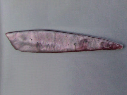 Reddish-black Rocket