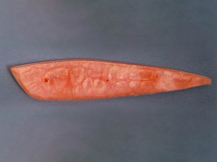 Coral-coloured Rocket